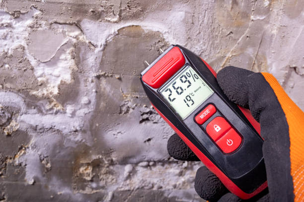Best Office Mold Removal Services  in Newton, IL