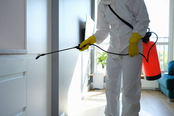 Best Toxic Mold Removal  in Newton, IL