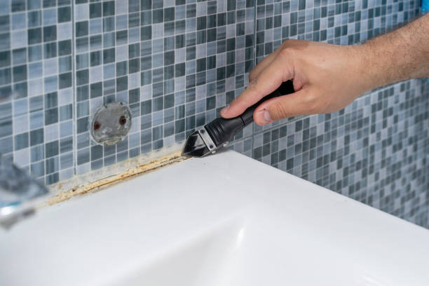 Reliable Newton, IL Mold Removal Solutions