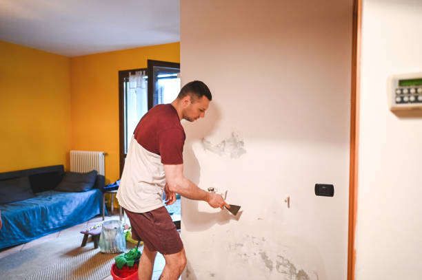 Best Water Damage Restoration  in Newton, IL